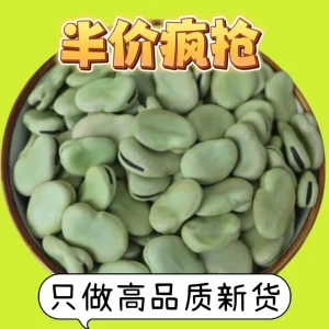 Alternative view of 青皮干蚕豆